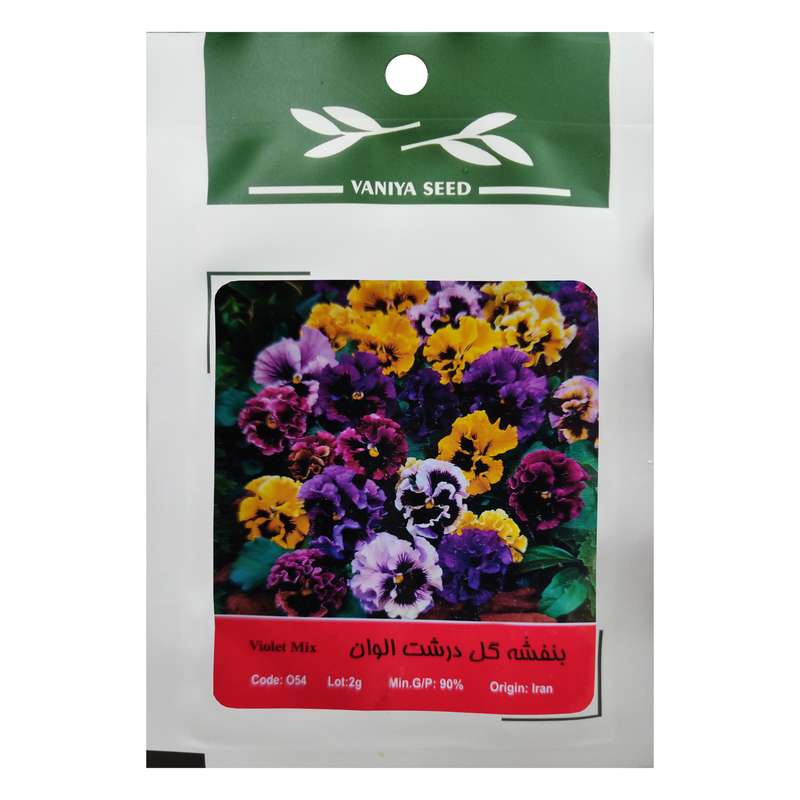 بذر گل بنفشه گل درشت الوان وانیا سید مدل O54