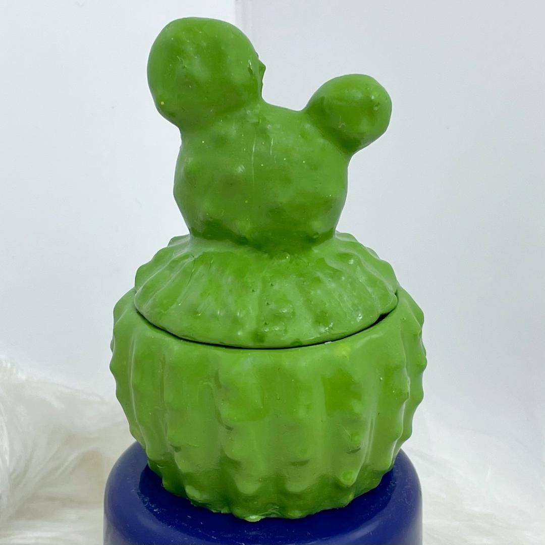 جعبه جواهرات طرح کاکتوس کد 001