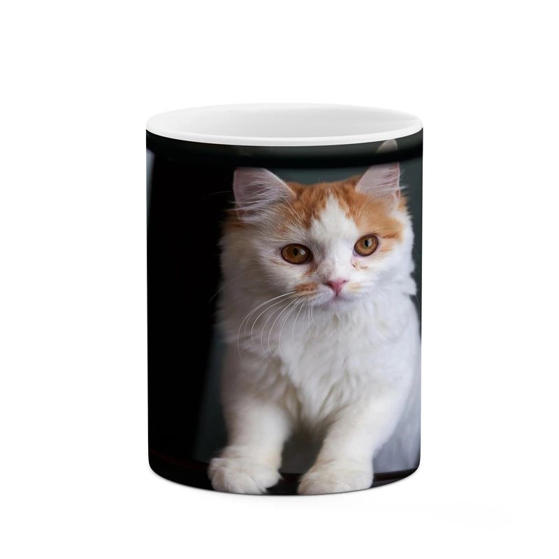 ماگ کاکتی مدل گربه کد mgh17305