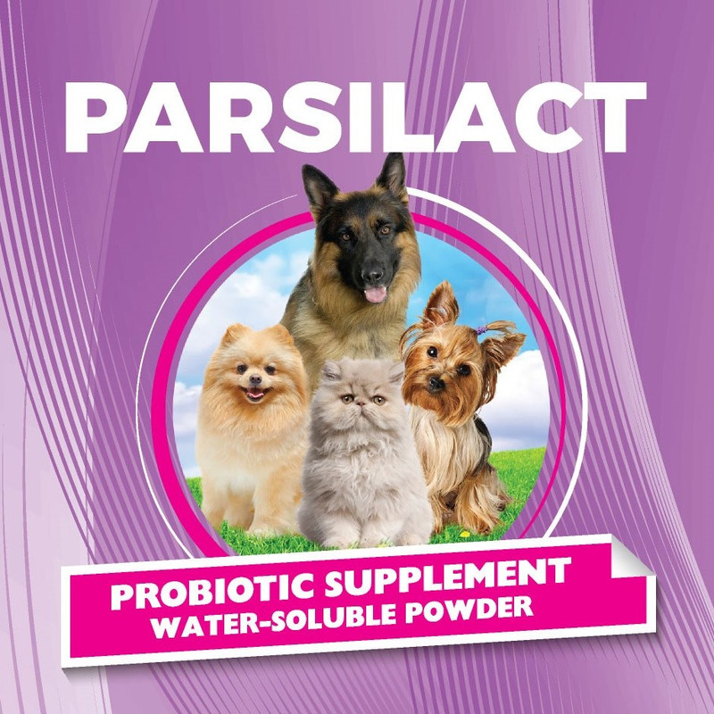 مکمل سگ و گربه پارسی لاکت مدل Pet-BC بسته 20 عددی وزن 2 گرم