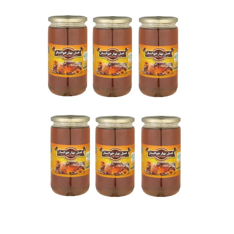 عسل بهار خوانسار - 1 کیلوگرم بسته 6 عددی
