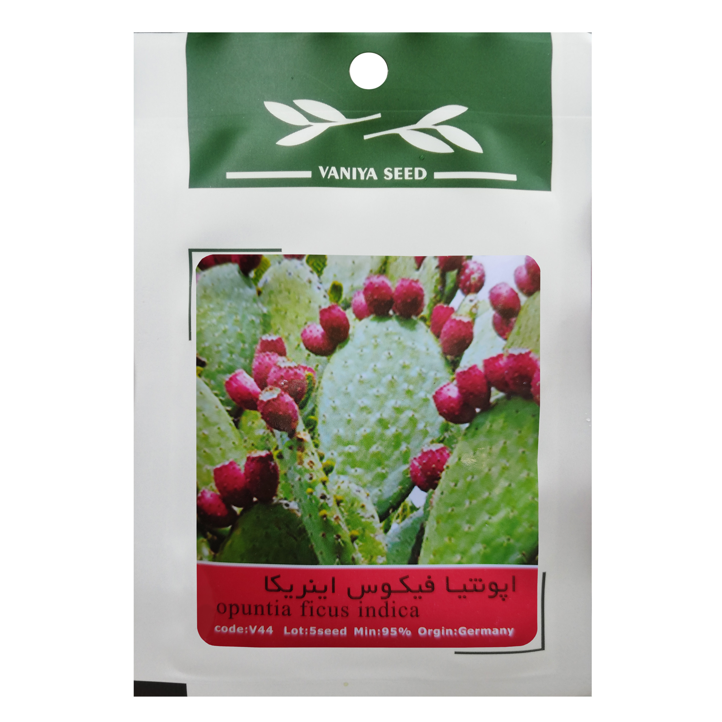 بذر میوه اپونتیا فیکوس اینریکا وانیا سید مدل V44