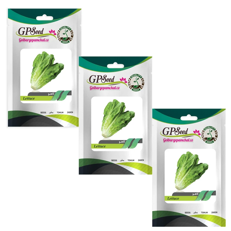  بذر کاهو گلبرگ پامچال کد GPF-123 مجموعه 3 عددی 