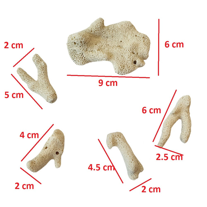 مرجان تزیینی آکواریوم مدل lde32 مجموعه 5 عددی