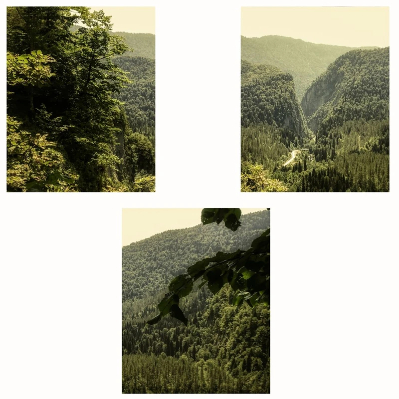 پوستر مدل مستر جنگل سبز-چاپ منظره مجموعه 3 عددی