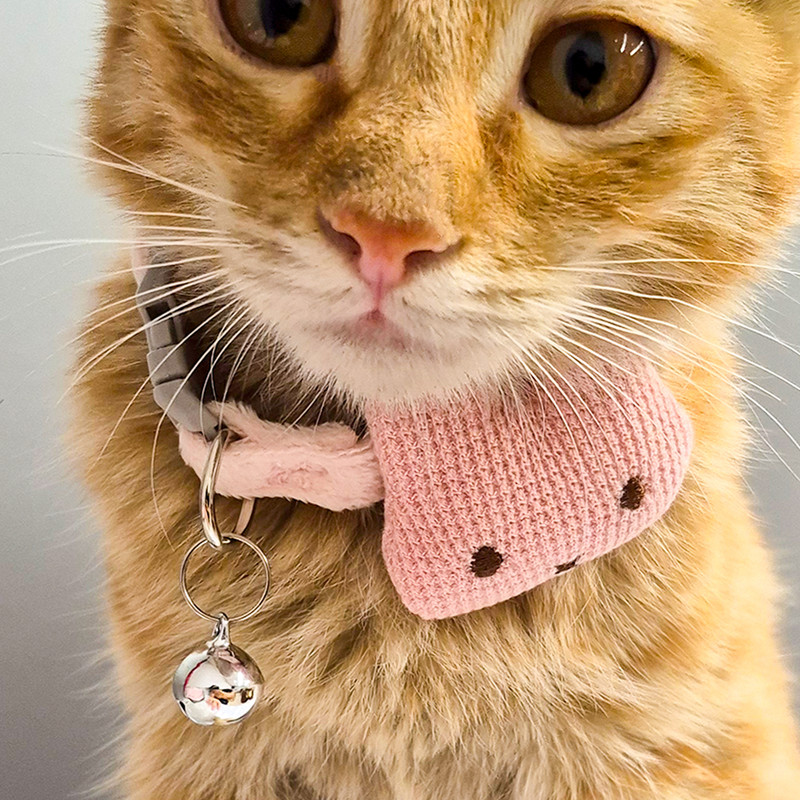 قلاده سگ و گربه طرح خرگوش مدل HIACE-03