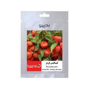 بذر میوه فیسالیس قرمز بذرینو کد BZNO-114