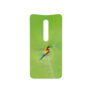 MAHOOT European bee-eater Cover Sticker for Motorola Moto X Style