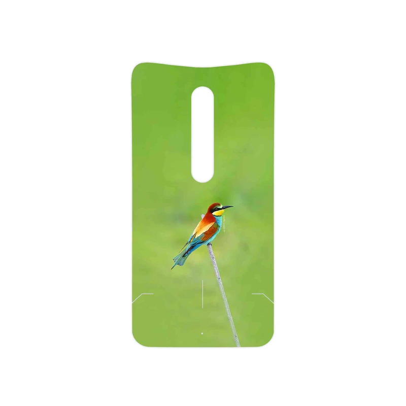 برچسب پوششی ماهوت مدل European bee-eater مناسب برای گوشی موبایل موتورولا Moto X Style