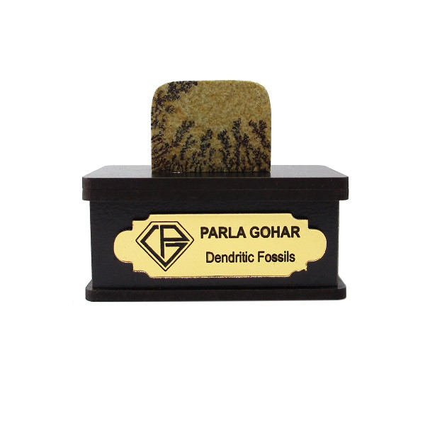 سنگ راف شجر فسیلی پارلا گوهر کد 2202