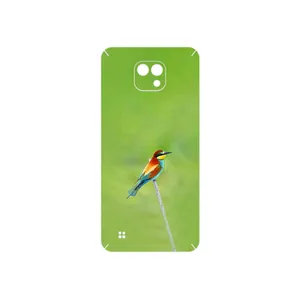 MAHOOT European bee-eater Cover Sticker for LG X Cam