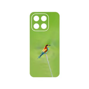 MAHOOT European bee-eater Cover Sticker for Honor X6c