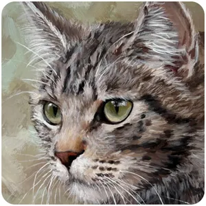 کاشی مدل cat