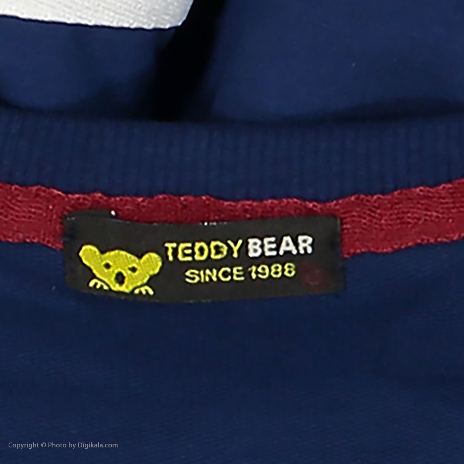ست سویشرت و شلوار پسرانه خرس کوچولو مدل 2011171-79 -  - 7