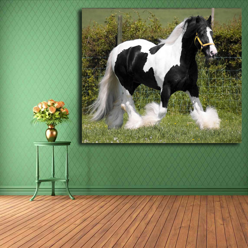 تابلو شاسی مدل اسب کد 5