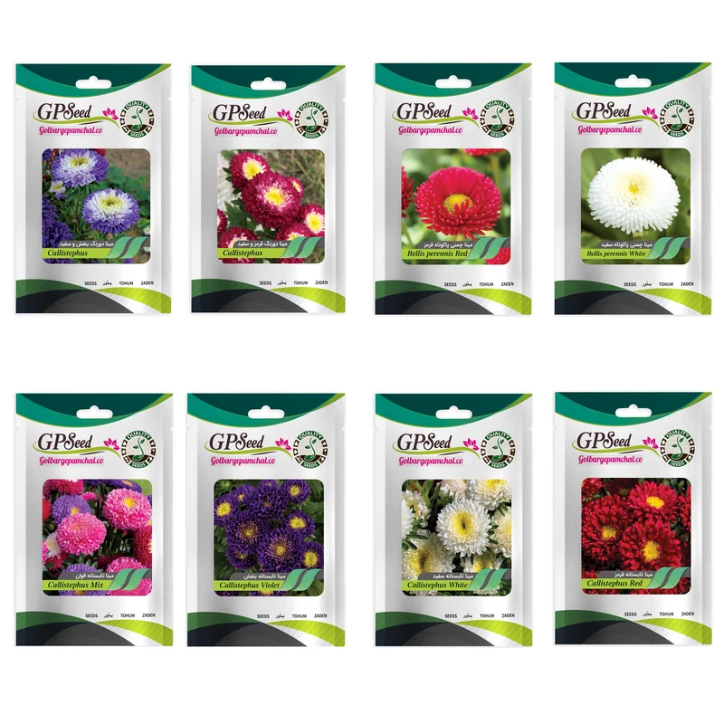 بذر گل مینا و مینا چمنی همه رنگ گلدانی گلبرگ پامچال کد G-P-GP-08 مجموعه 8 عددی