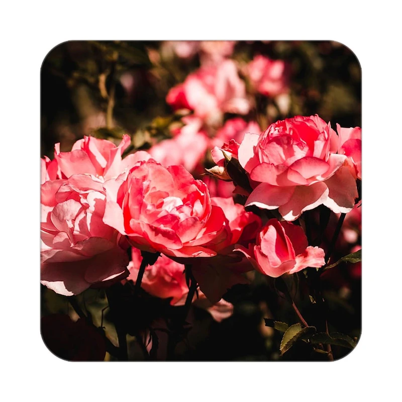 زیر لیوانی کاکتی طرح گل مدل mp17144