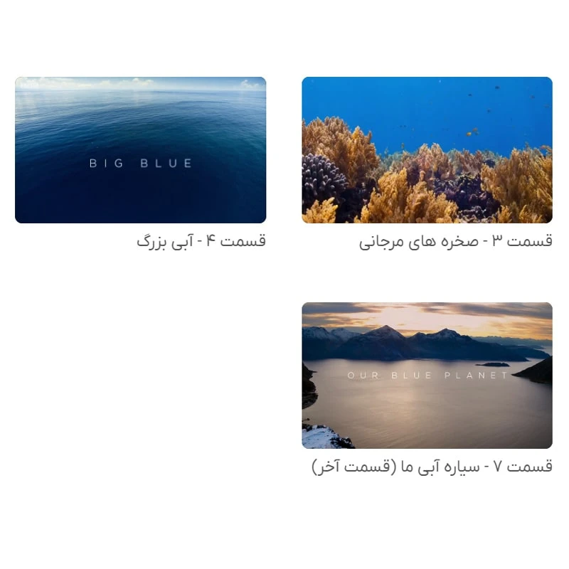 عکس شماره 9 : مستند سیاره آبی دو blue planet ii اثر دیوید اتنبرو نشر لیمو استور