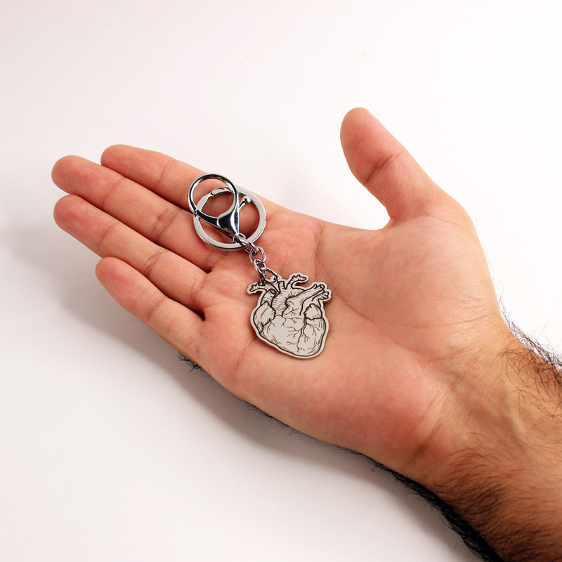 جاکلیدی گلسو مدل قلب آناتومی