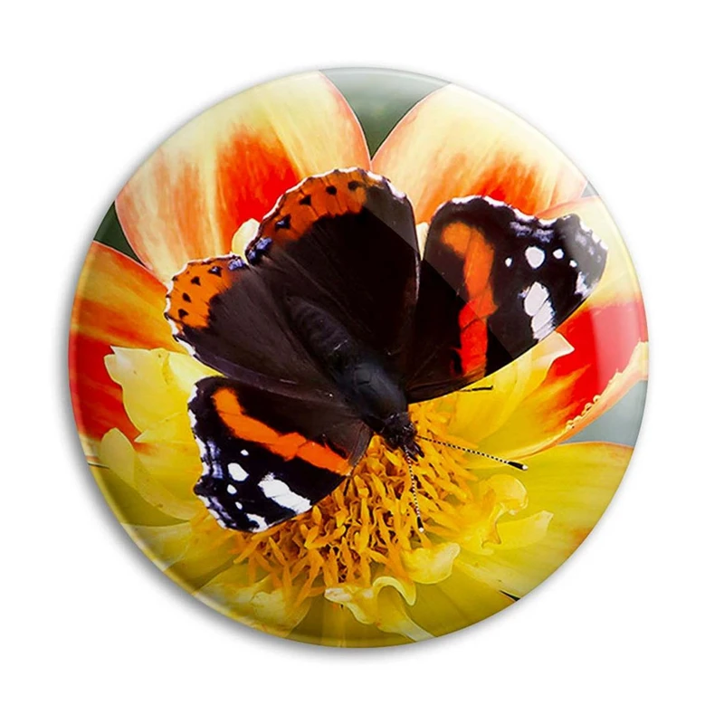 مگنت پرمانه طرح پروانه کد pmag.22160