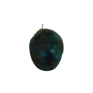 سنگ فیروزه سلین کالا مدل لودیک کد Pc2-6