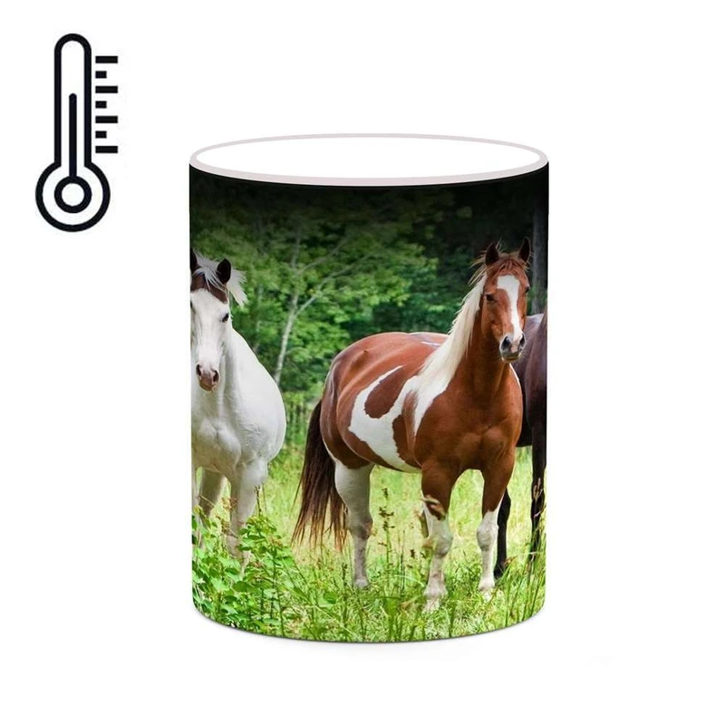 ماگ حرارتی کاکتی مدل اسب کد mgh24134