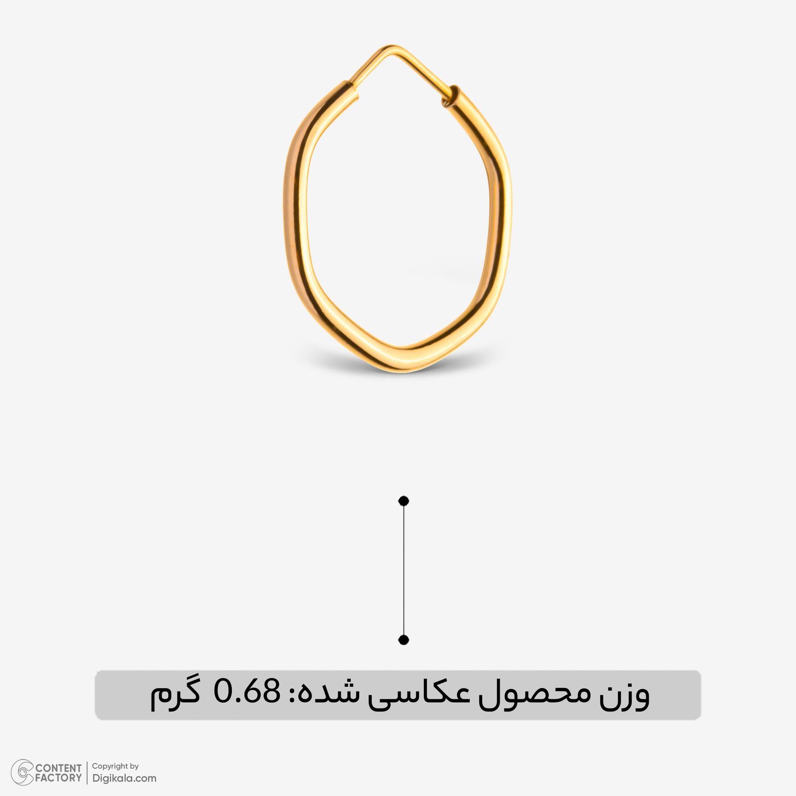 گوشواره حلقه‌ای طلا 18 عیار زنانه گلدم مدل 2E245002 -  - 2