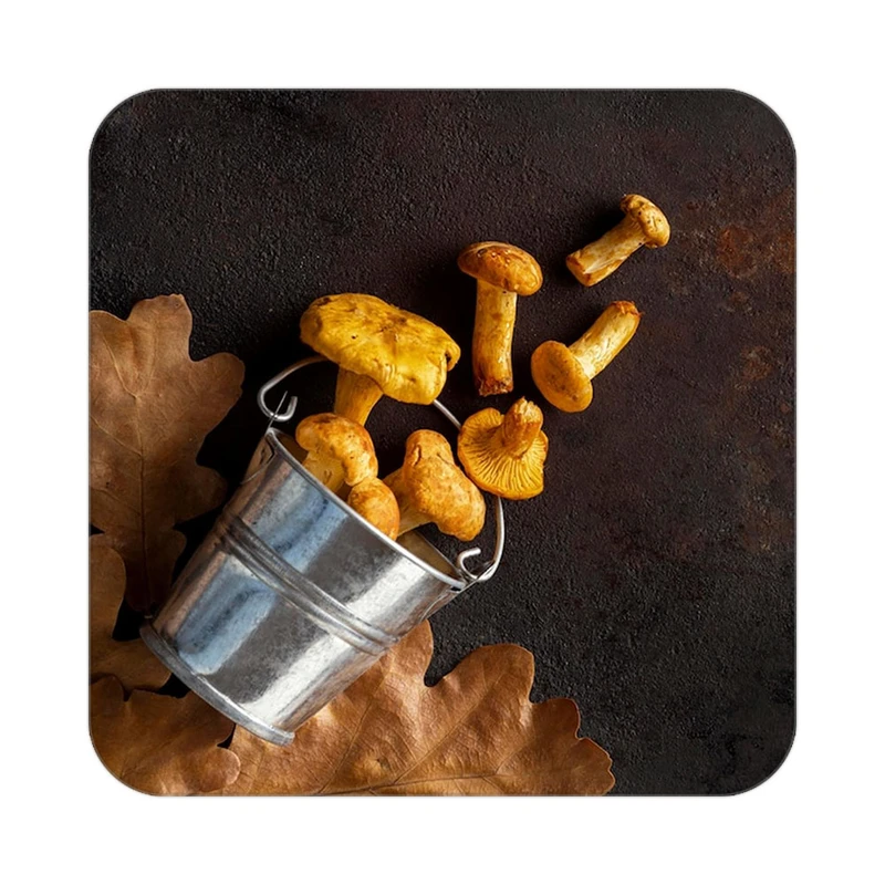 زیر لیوانی کاکتی طرح میوه مدل mp19871