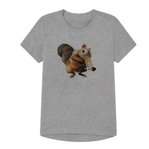 تی شرت آستین کوتاه پسرانه مدل عصر یخبندان کد19 Z رنگ طوسی