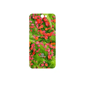 MAHOOT Atom Universe 3 Cover Sticker for HTC One A9