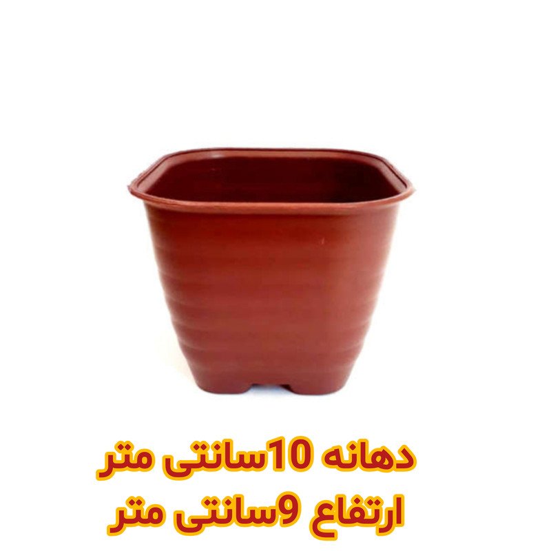 گلدان مدل مربع کد A_10 بسته 20 عددی گلدان مدل مربع کد A_10 بسته 20 عددی