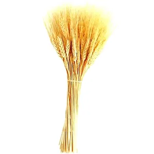 گل خشک مدل خوشه گندم بسته ۴۰ عددی