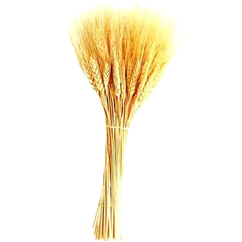 گل خشک مدل خوشه گندم بسته ۴۰ عددی