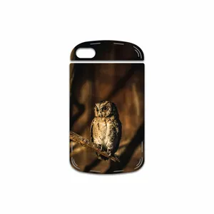 MAHOOT Owl Cover Sticker for BlackBerry Q10