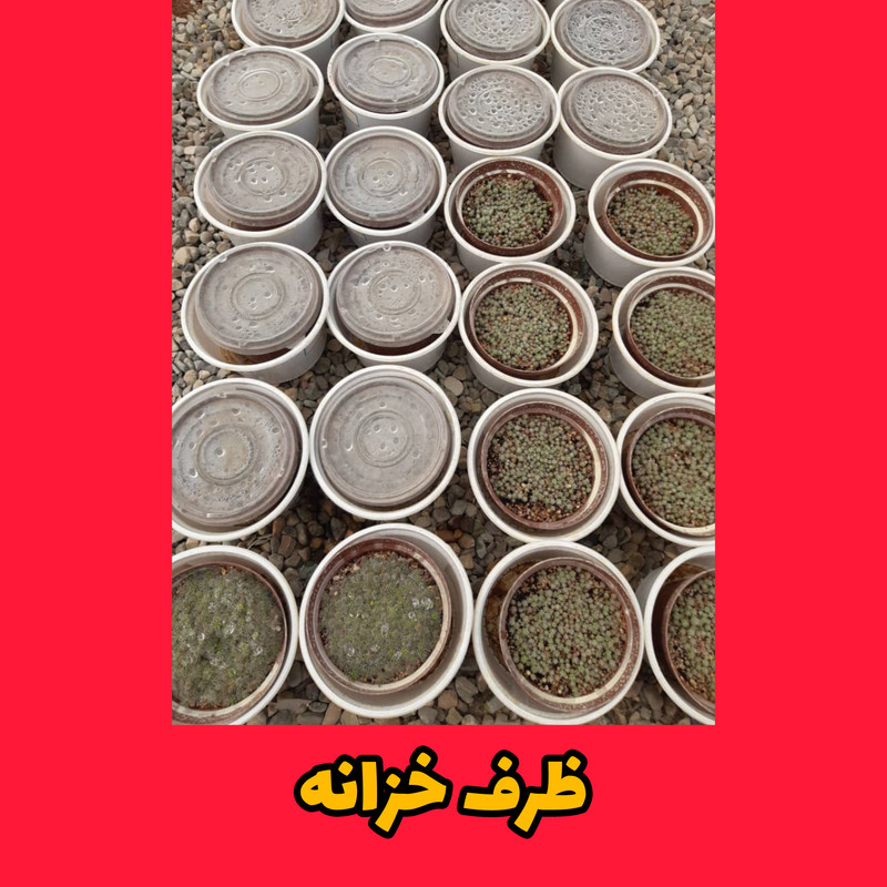 گلدان مدل پلاستیکی درب دار بسته 5 عددی