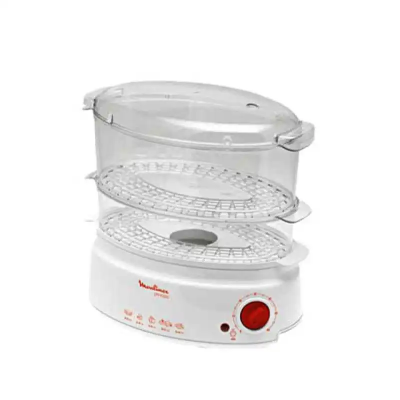 بخارپز مولینکس مدل V100