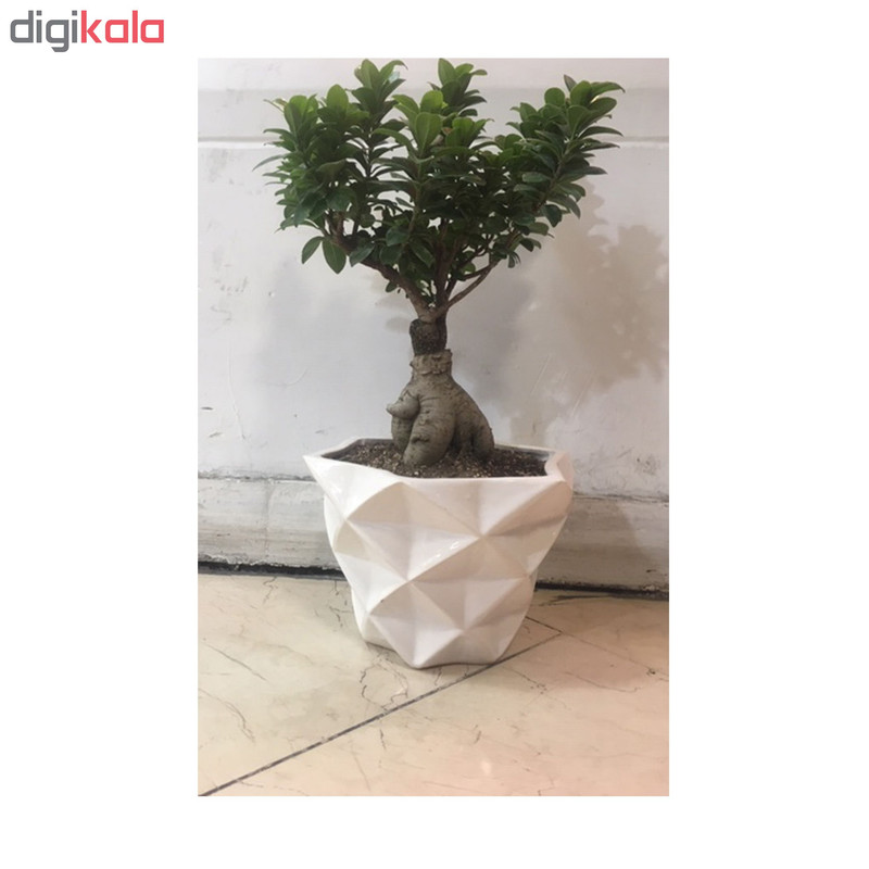 گلدان طرح ستاره الماسی کد ck060 گلدان طرح ستاره الماسی کد ck060