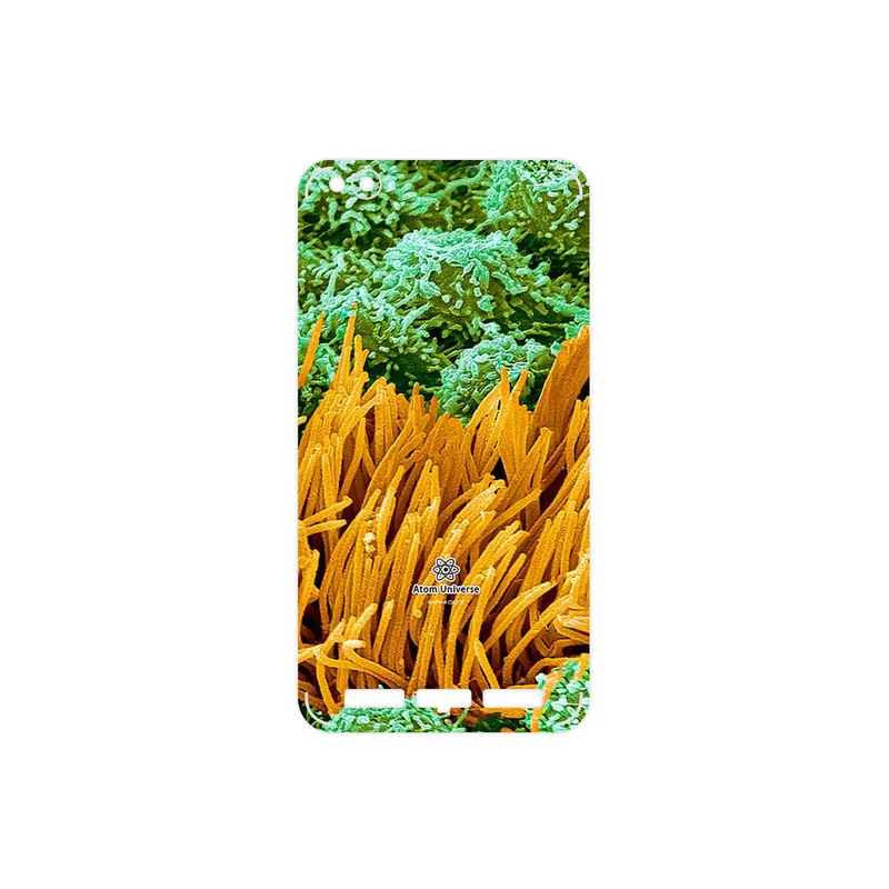 برچسب پوششی ماهوت مدل Atom Universe 6 مناسب برای گوشی موبایل شیائومی Redmi 5A