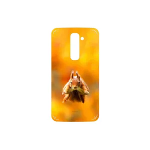 MAHOOT Squirrel Cover Sticker for LG G2