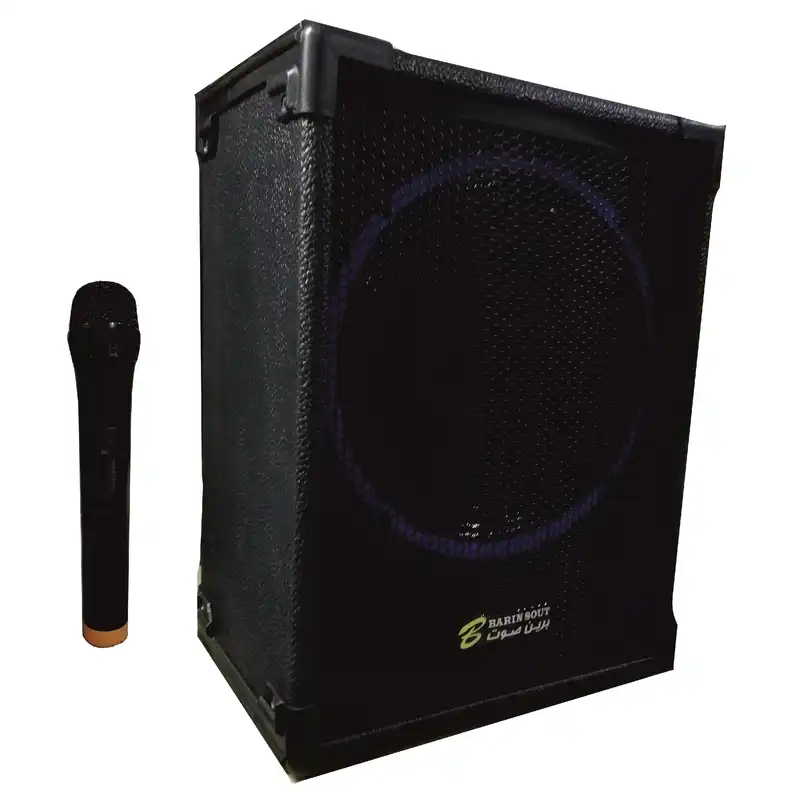 اکو همراه برین صوت مدل 1215 به همراه میکروفن بی سیم