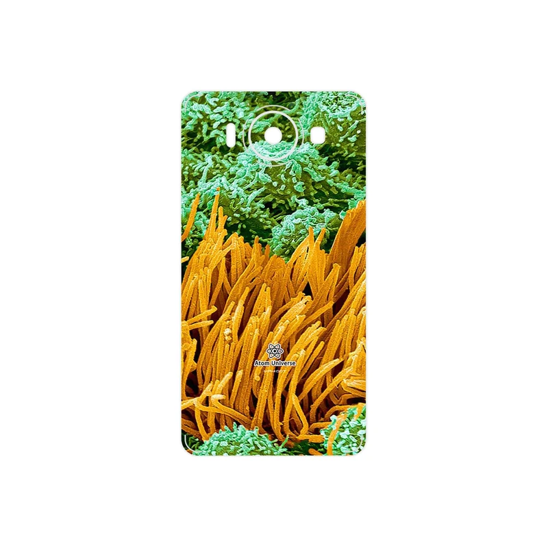 برچسب پوششی ماهوت مدل Atom Universe 6 مناسب برای گوشی موبایل مایکروسافت Lumia 950