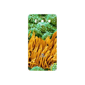 MAHOOT Atom Universe 6 Cover Sticker for Microsoft Lumia 950