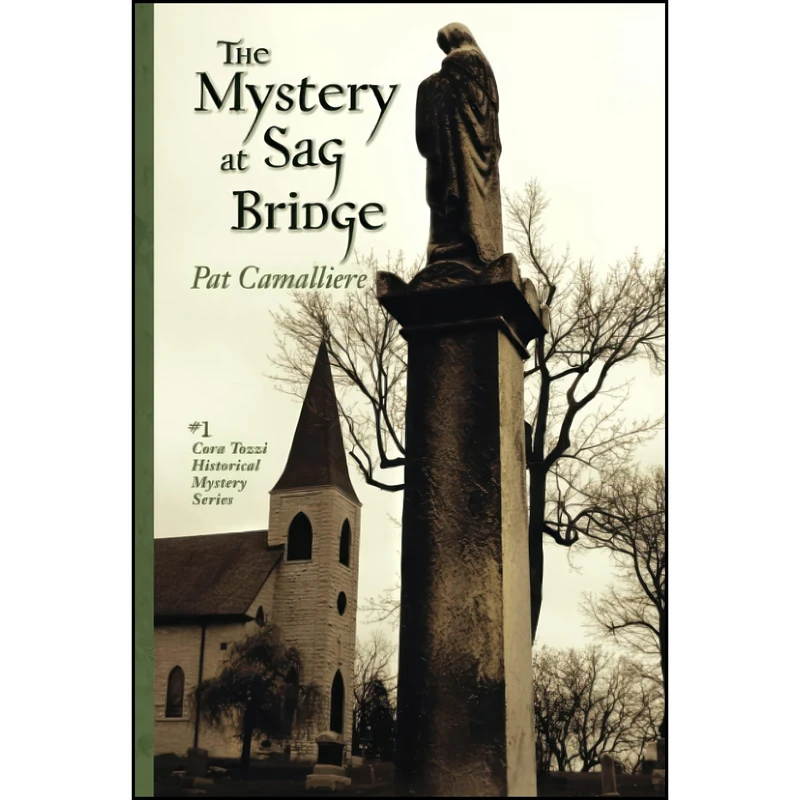 کتاب The Mystery at Sag Bridge اثر Pat Camalliere انتشارات تازه ها