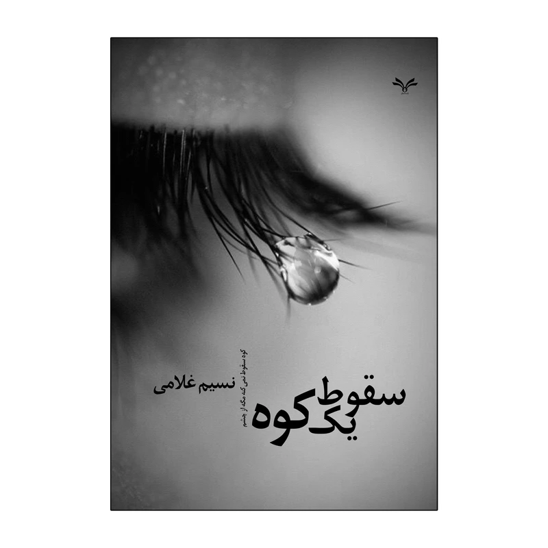 کتاب سقوط یک کوه اثر نسیم غلامی انتشارات نامه مهر