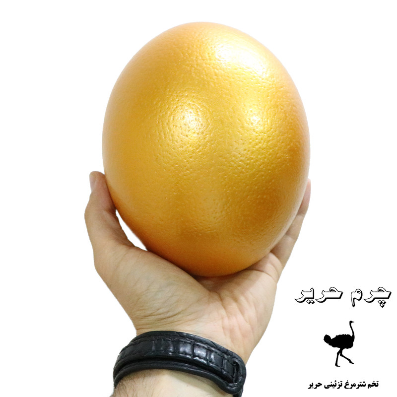 تخم شترمرغ تزیینی چرم حریر مدل طلایی