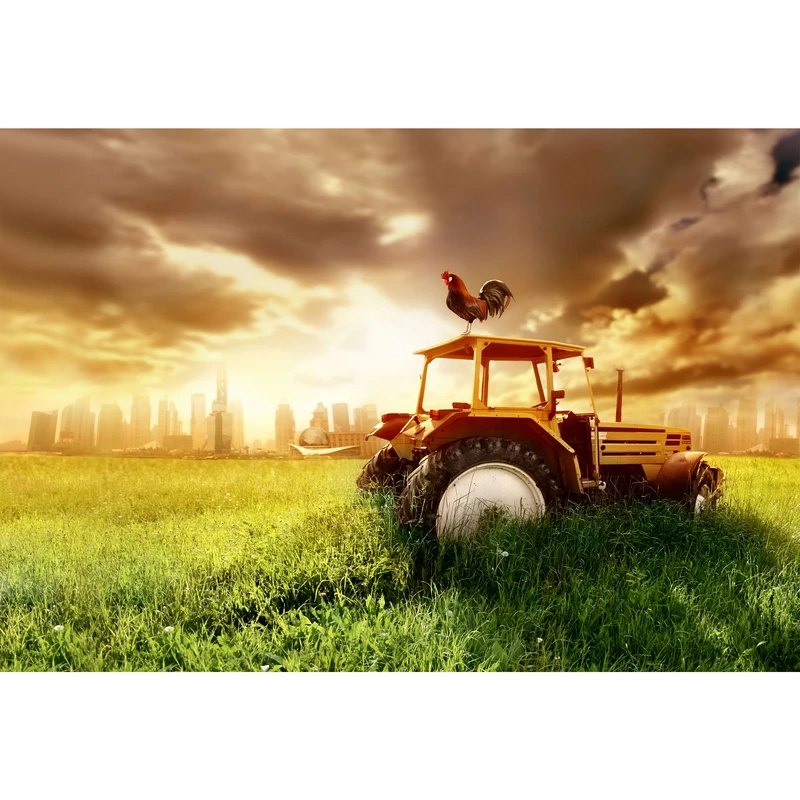 تابلو شاسی مدل مزرعه و تراکتور و خروس و غروب آفتاب T7098
