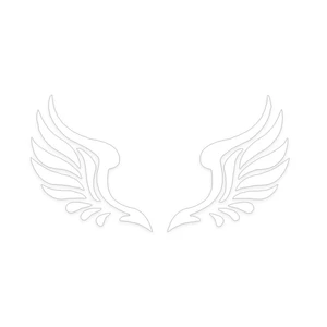 برچسب خودرو طرح بال کد K11000