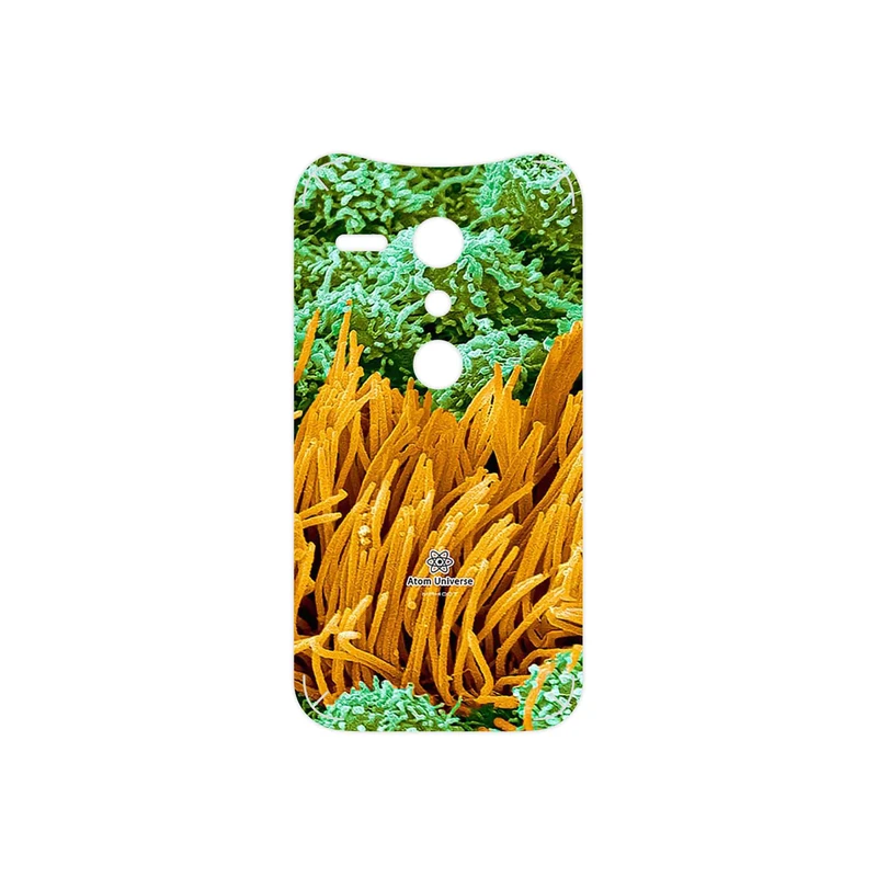 برچسب پوششی ماهوت مدل Atom Universe 6 مناسب برای گوشی موبایل موتورولا Moto G