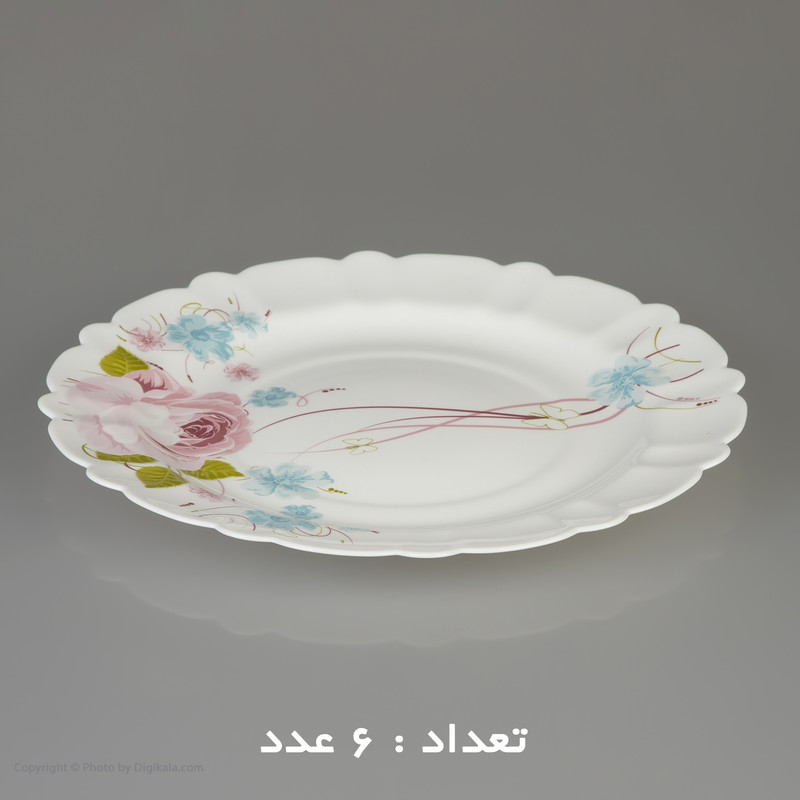 سرویس غذا خوری 25 پارچه آیروپال طرح کنگره مدل پیکو