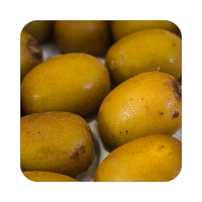 زیر لیوانی کاکتی طرح میوه مدل mp20195